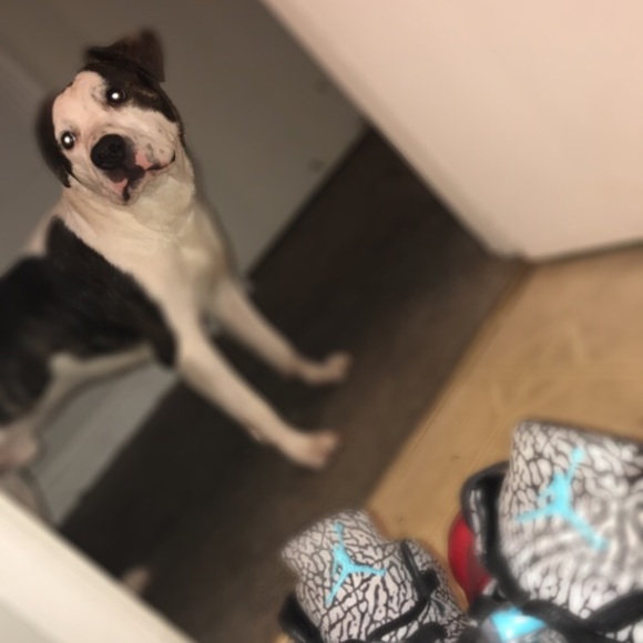 Jordan 5, 6, and Foamposite Pro - Picture 3 of 3